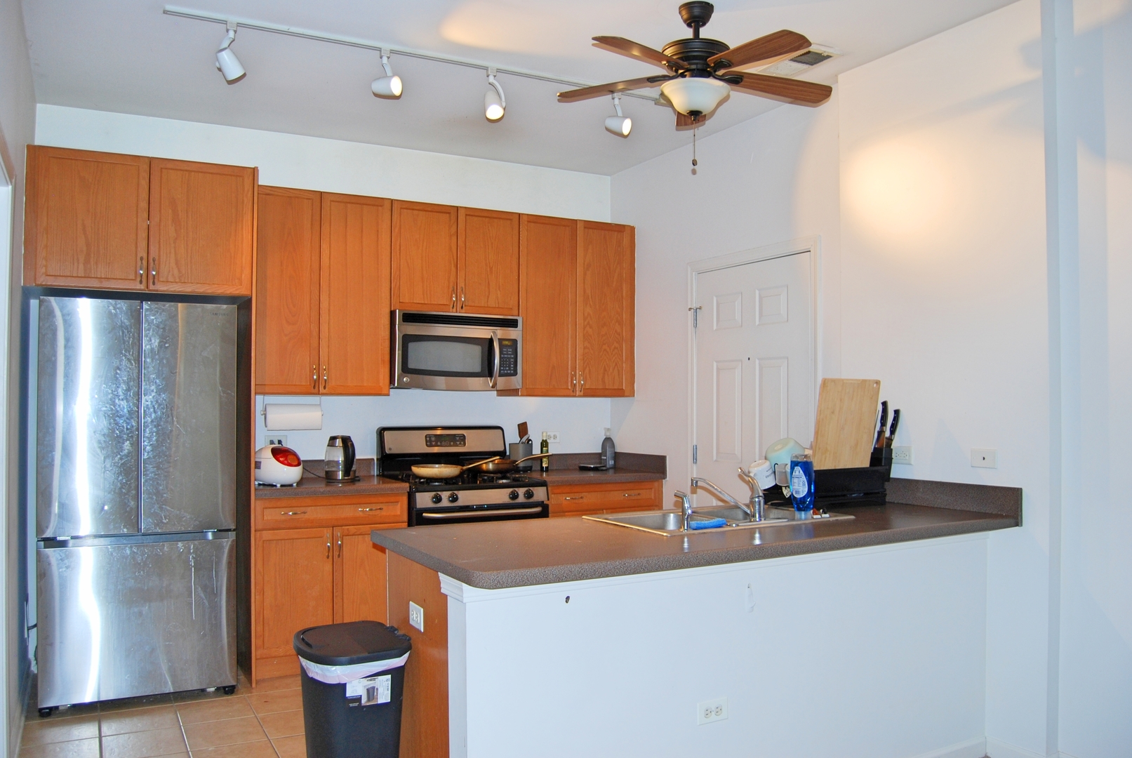 1431 South Halsted Street, Unit 3A Chicago, IL 60607 - Photo 2 of 12
