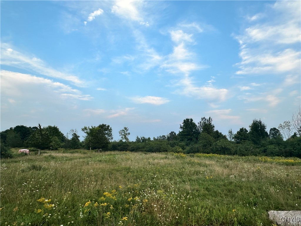 Lot 7 Rt-12 Alexandria Bay, NY 13607 - Photo 3 of 7