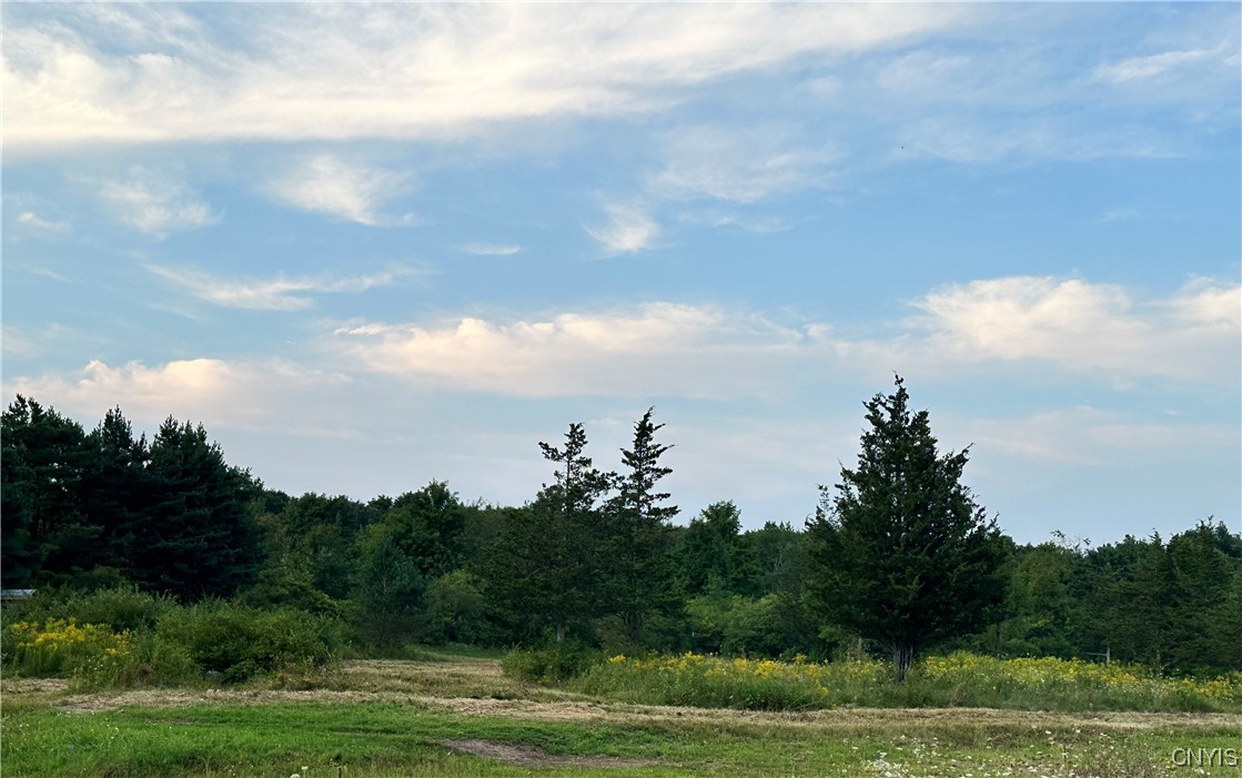 Lot 7 Rt-12 Alexandria Bay, NY 13607 - Photo 5 of 7