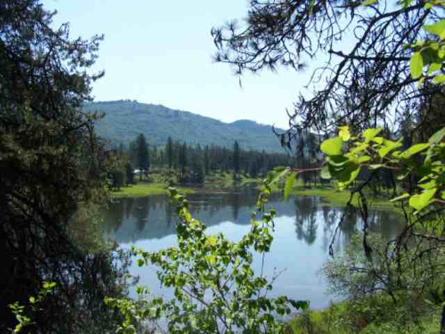 Lot 1 Rustic Road Cusick, WA 99119 - Photo 1 of 7