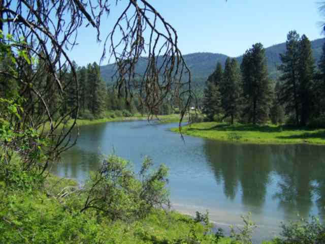 Lot 1 Rustic Road Cusick, WA 99119 - Photo 3 of 7