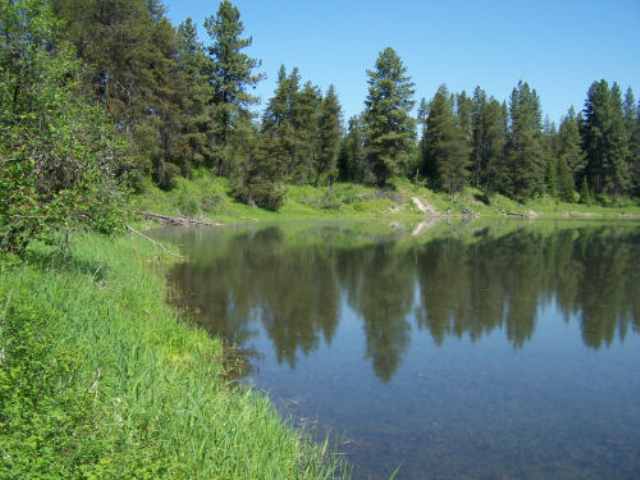 Lot 1 Rustic Road Cusick, WA 99119 - Photo 4 of 7