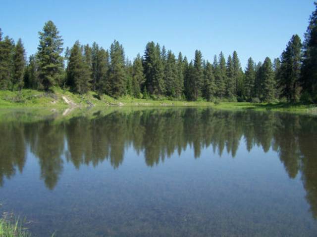 Lot 1 Rustic Road Cusick, WA 99119 - Photo 5 of 7
