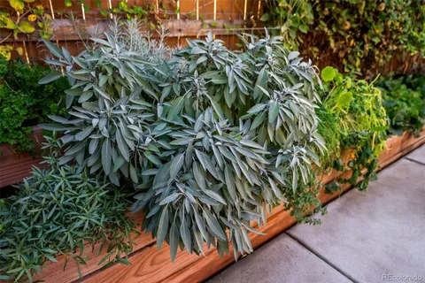 $825,000 | 2535 California Street, Denver, CO 80205