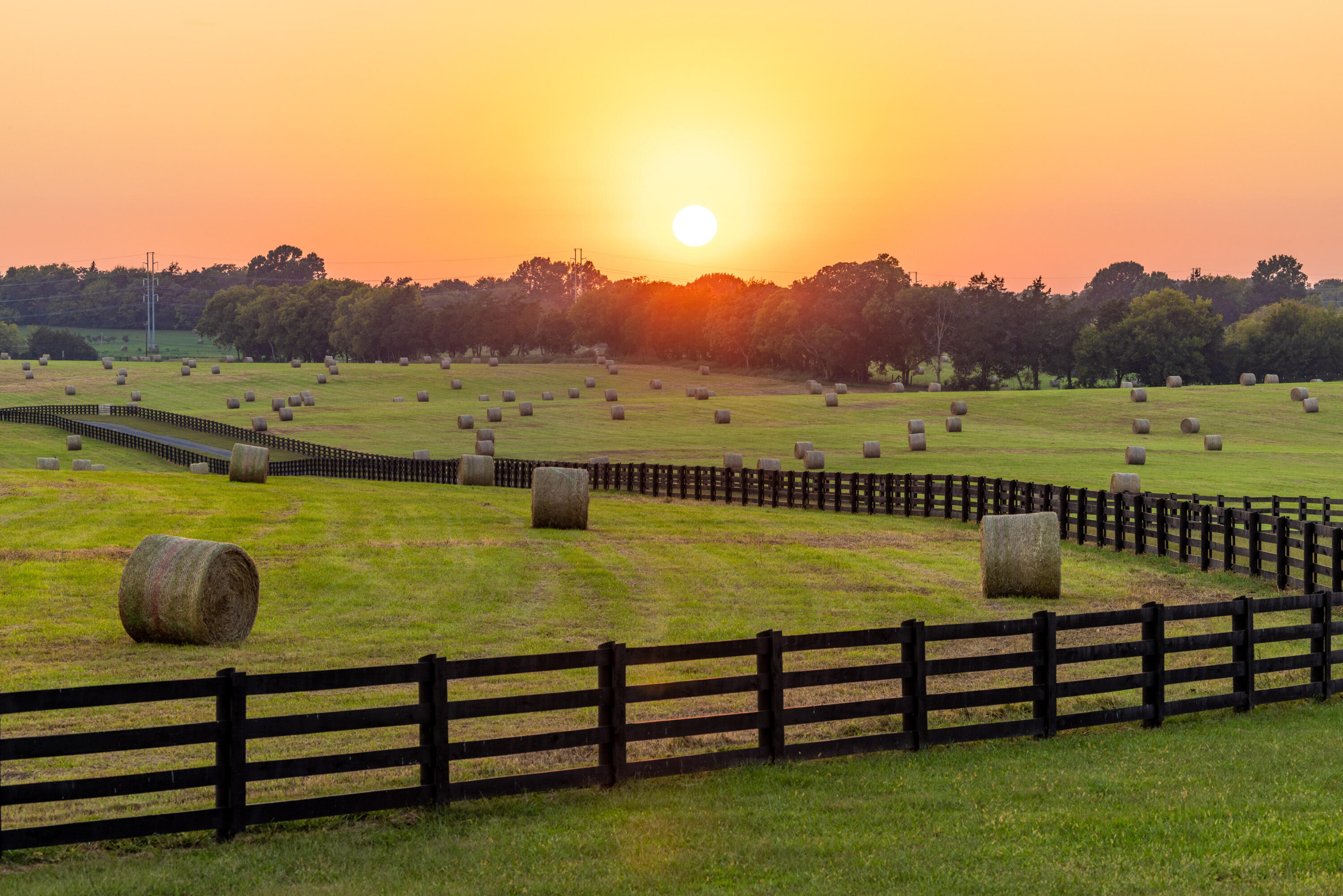 7950 Northwest Nw Highway Georgetown, TN 37336 - Photo 3 of 79 Pasture at sunset