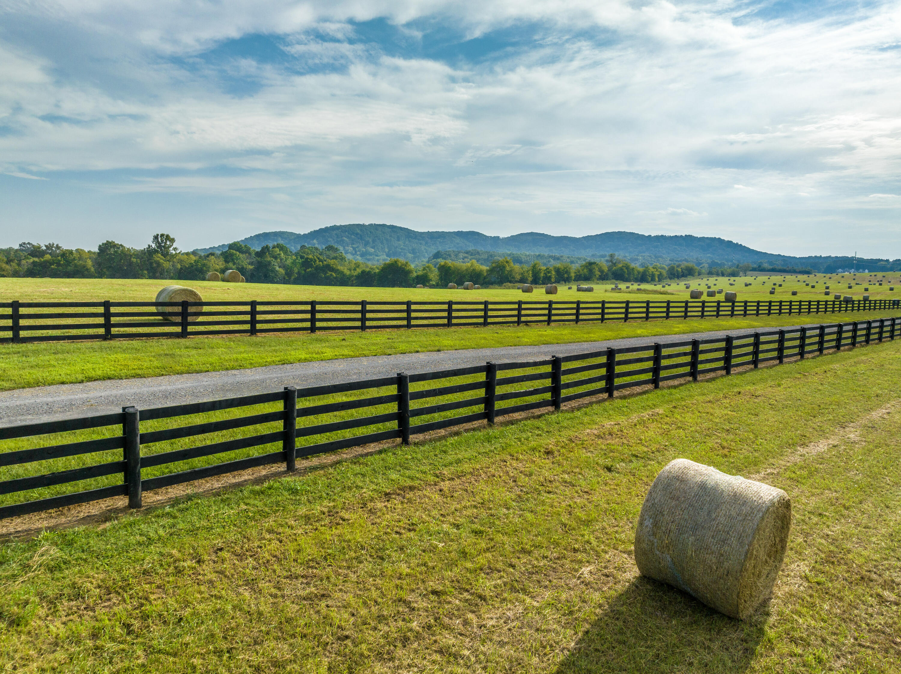 7950 Northwest Nw Highway Georgetown, TN 37336 - Photo 58 of 79 Pasture