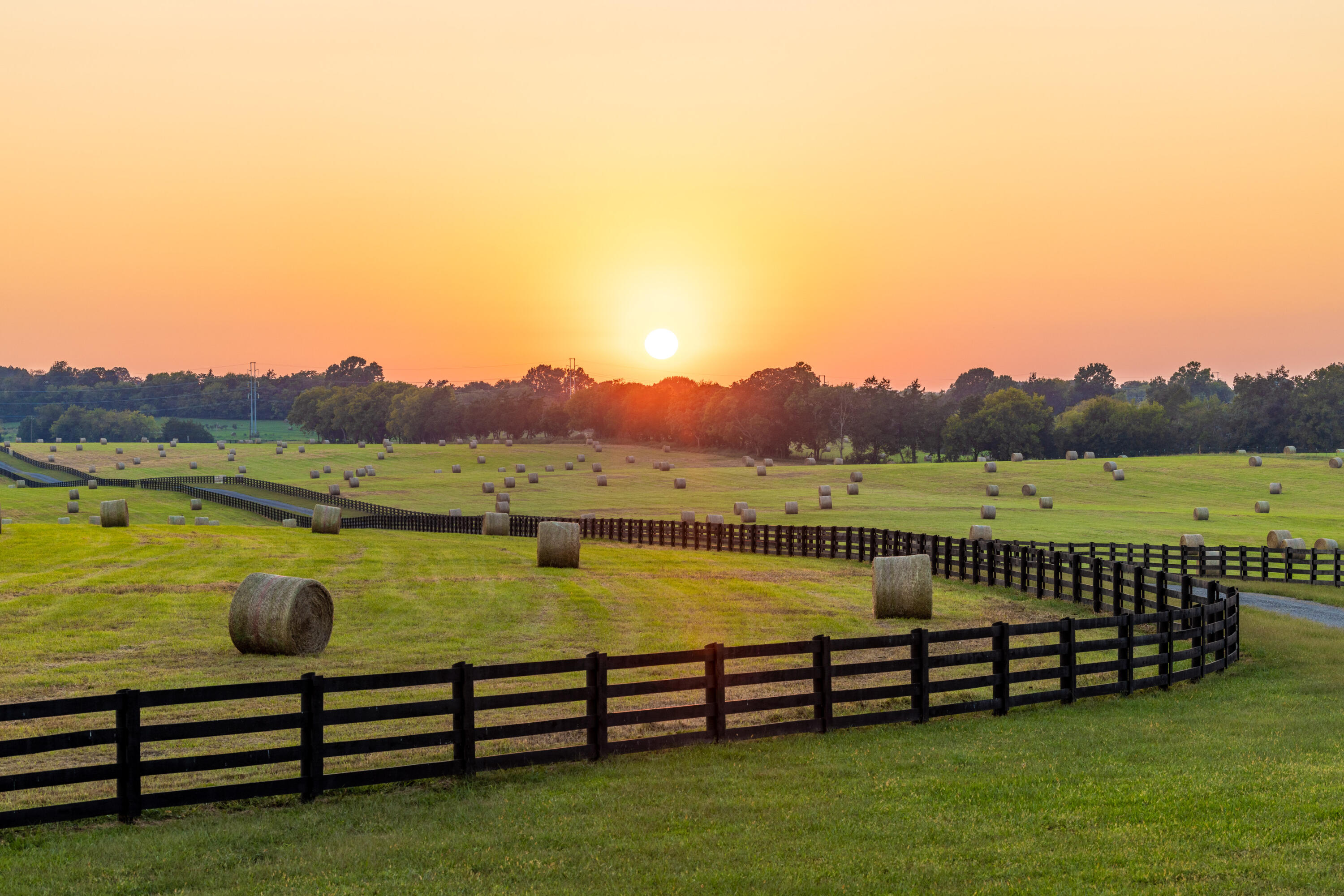 7950 Northwest Nw Highway Georgetown, TN 37336 - Photo 67 of 79 Pasture at sunset