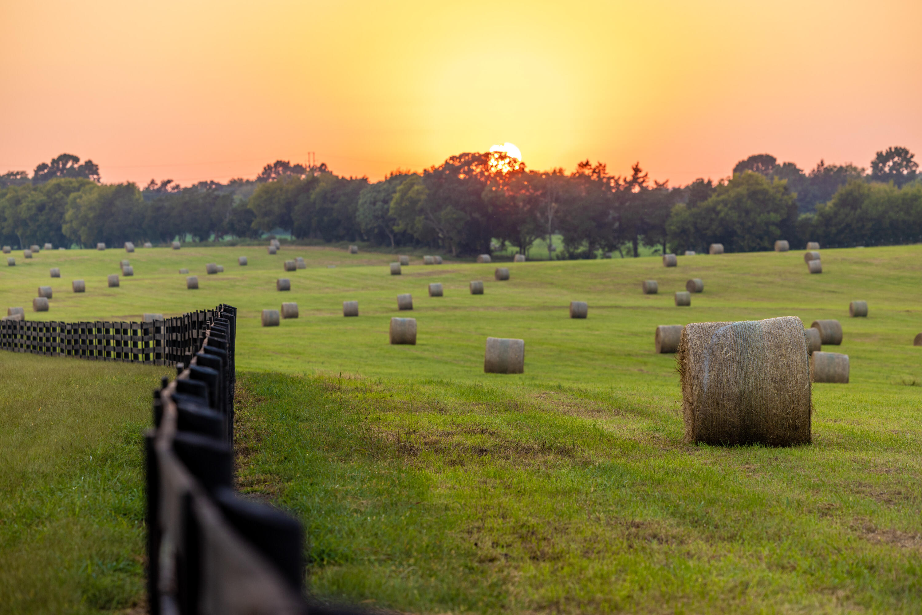 7950 Northwest Nw Highway Georgetown, TN 37336 - Photo 68 of 79 Pasture at sunset