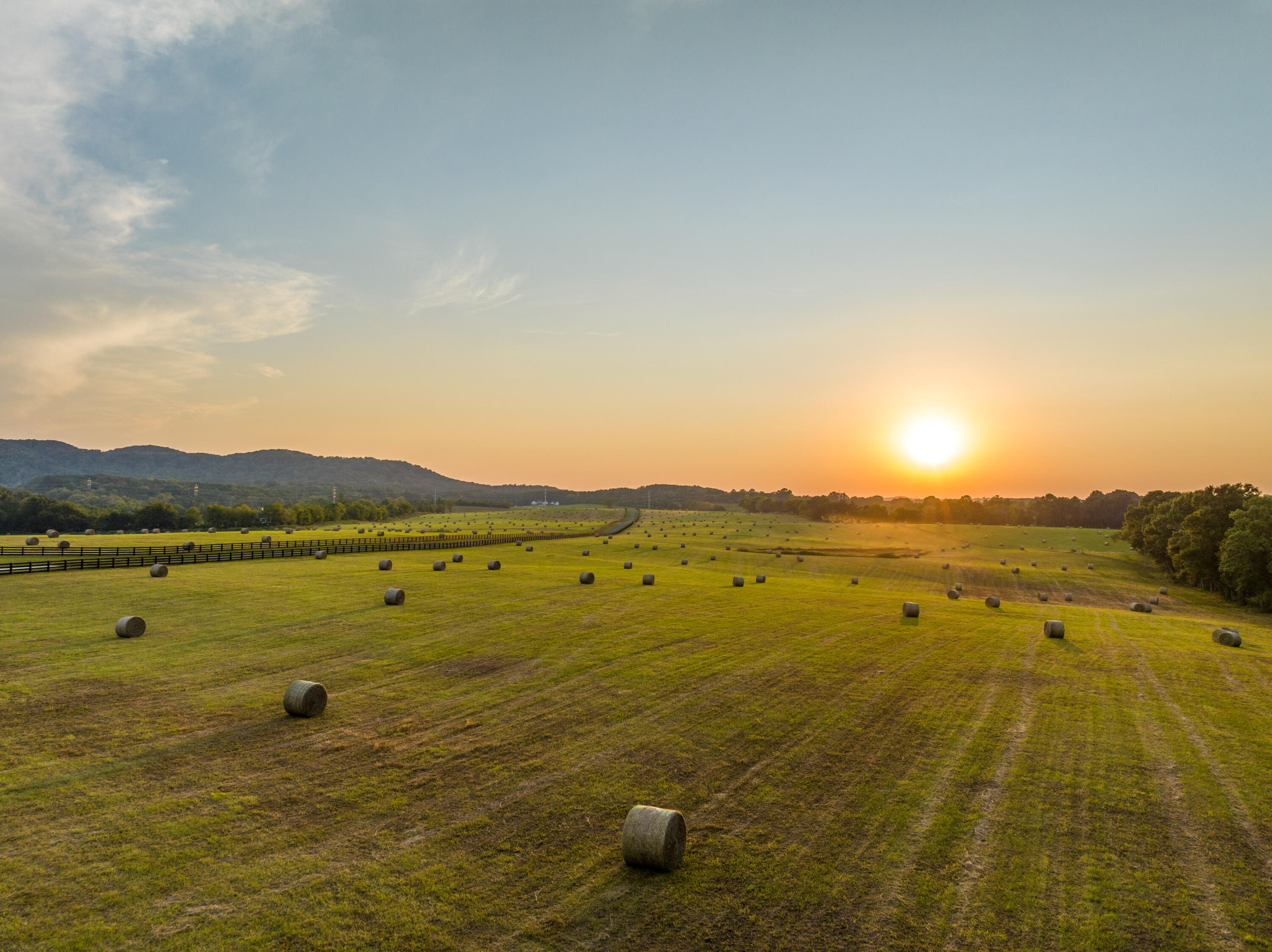 7950 Northwest Nw Highway Georgetown, TN 37336 - Photo 69 of 79 Pasture at sunset