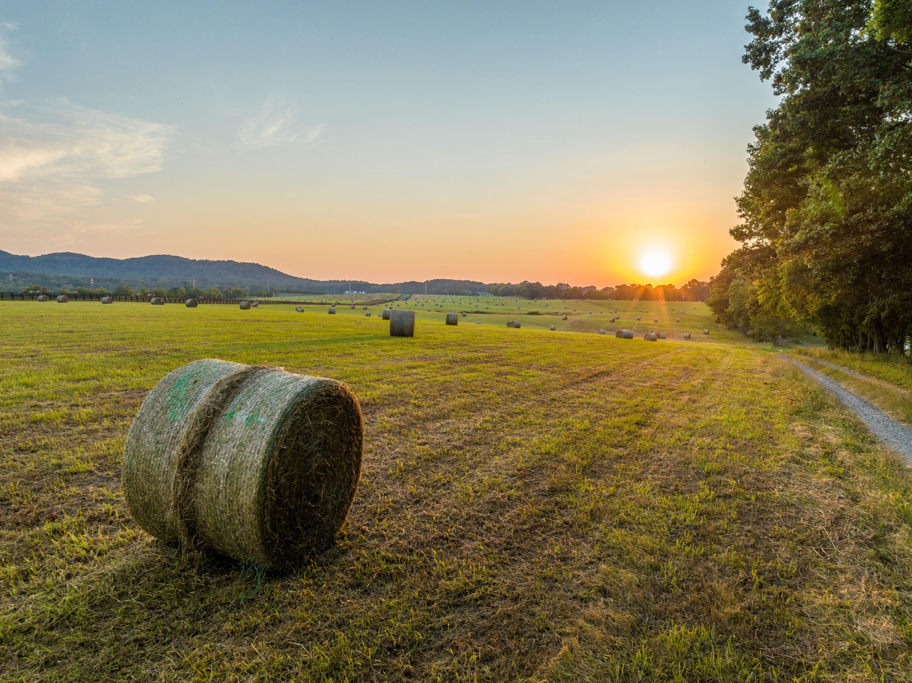 7950 Northwest Nw Highway Georgetown, TN 37336 - Photo 72 of 79 Pasture at sunset