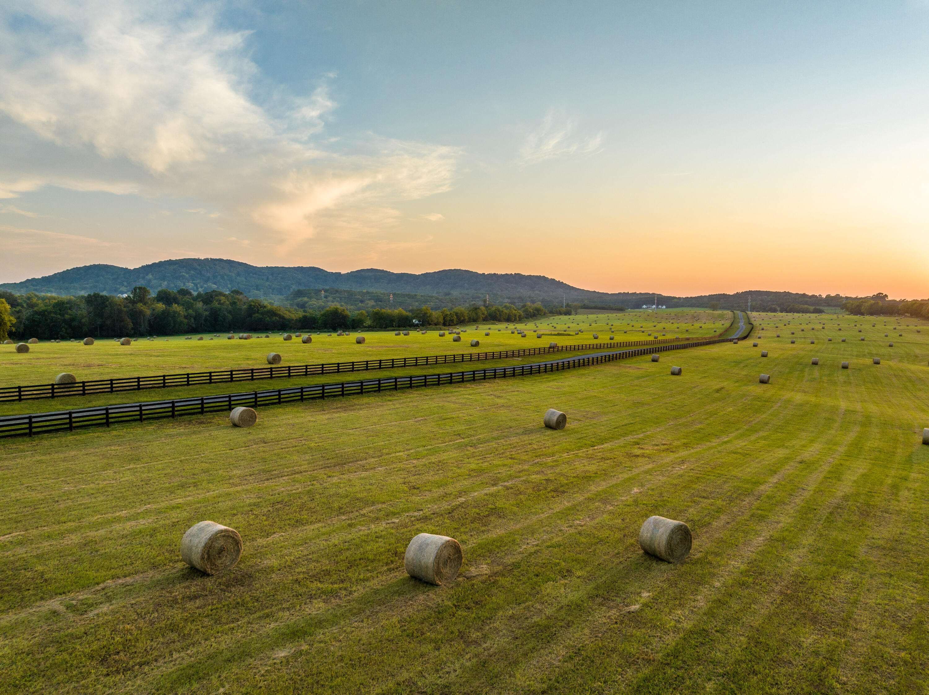 7950 Northwest Nw Highway Georgetown, TN 37336 - Photo 73 of 79 Pasture at sunset