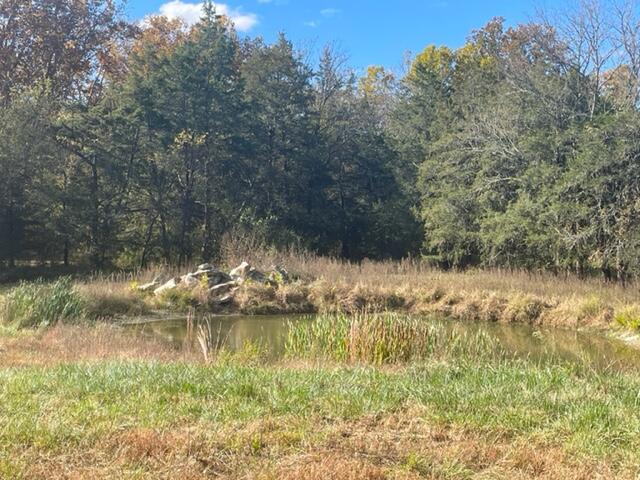 7950 Northwest Nw Highway Georgetown, TN 37336 - Photo 77 of 79 Pond