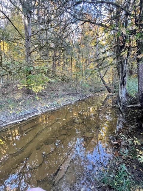 7950 Northwest Nw Highway Georgetown, TN 37336 - Photo 79 of 79 Creek