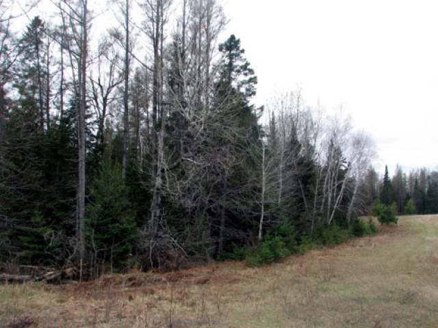 On Deerhorn Road, Unit 31 AC Rhinelander, WI 54501 - Photo 3 of 5 Gallery Image 3