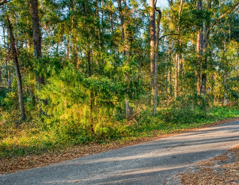 Treasure Trail Yulee, FL 32097 - Photo 3 of 6 Gallery Image 3