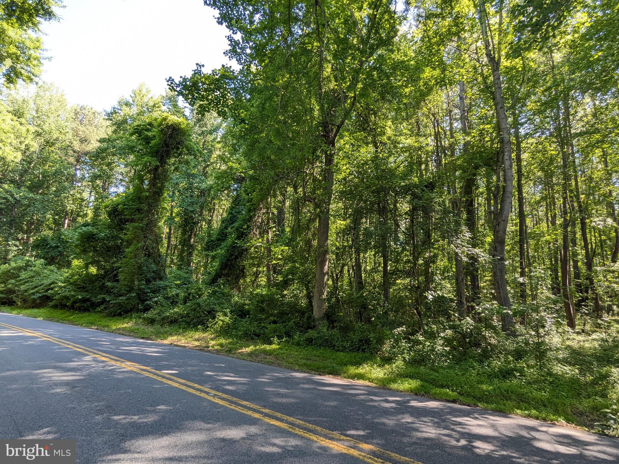 1260 Lottie Fowler Road Prince Frederick, MD 20678 - Photo 2 of 6