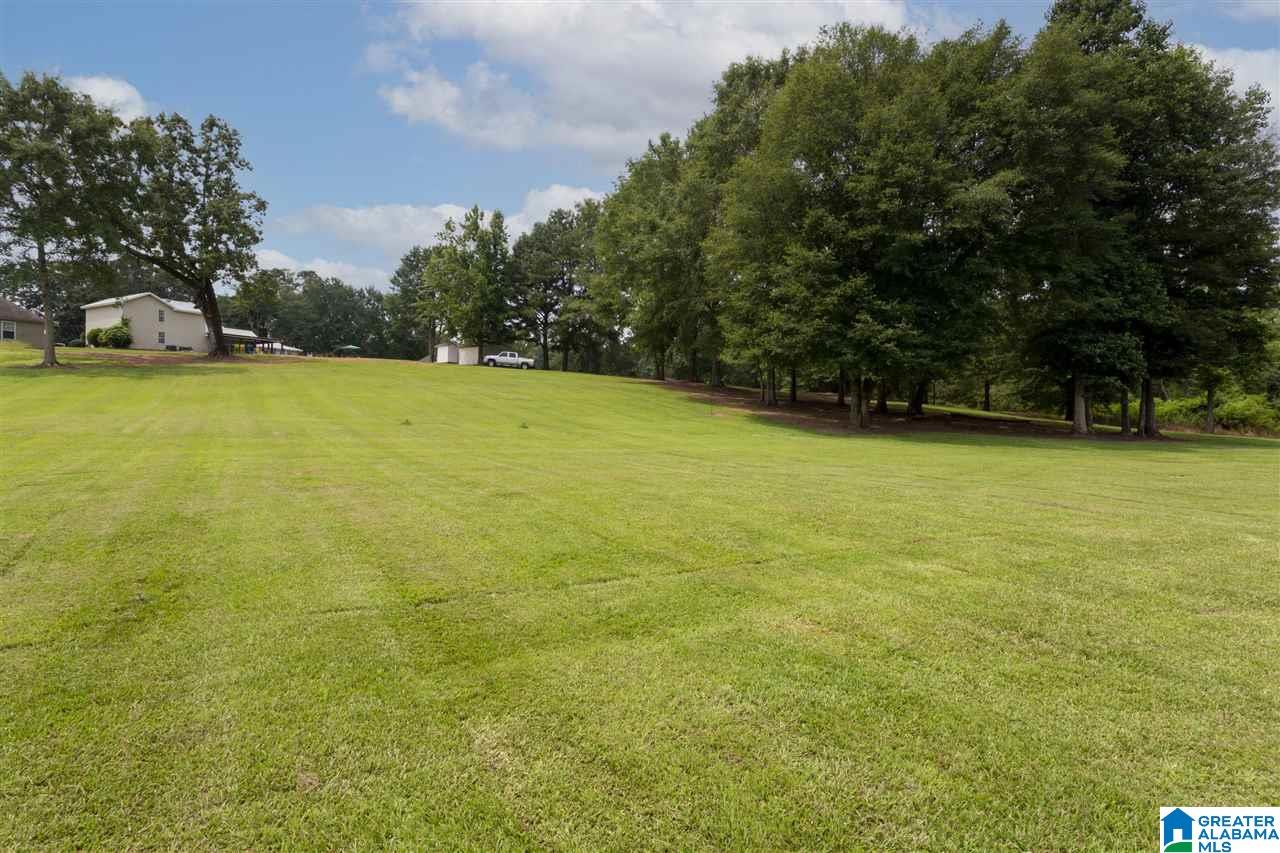 910 Wilson Road Clanton, AL 35045 - Photo 24 of 50