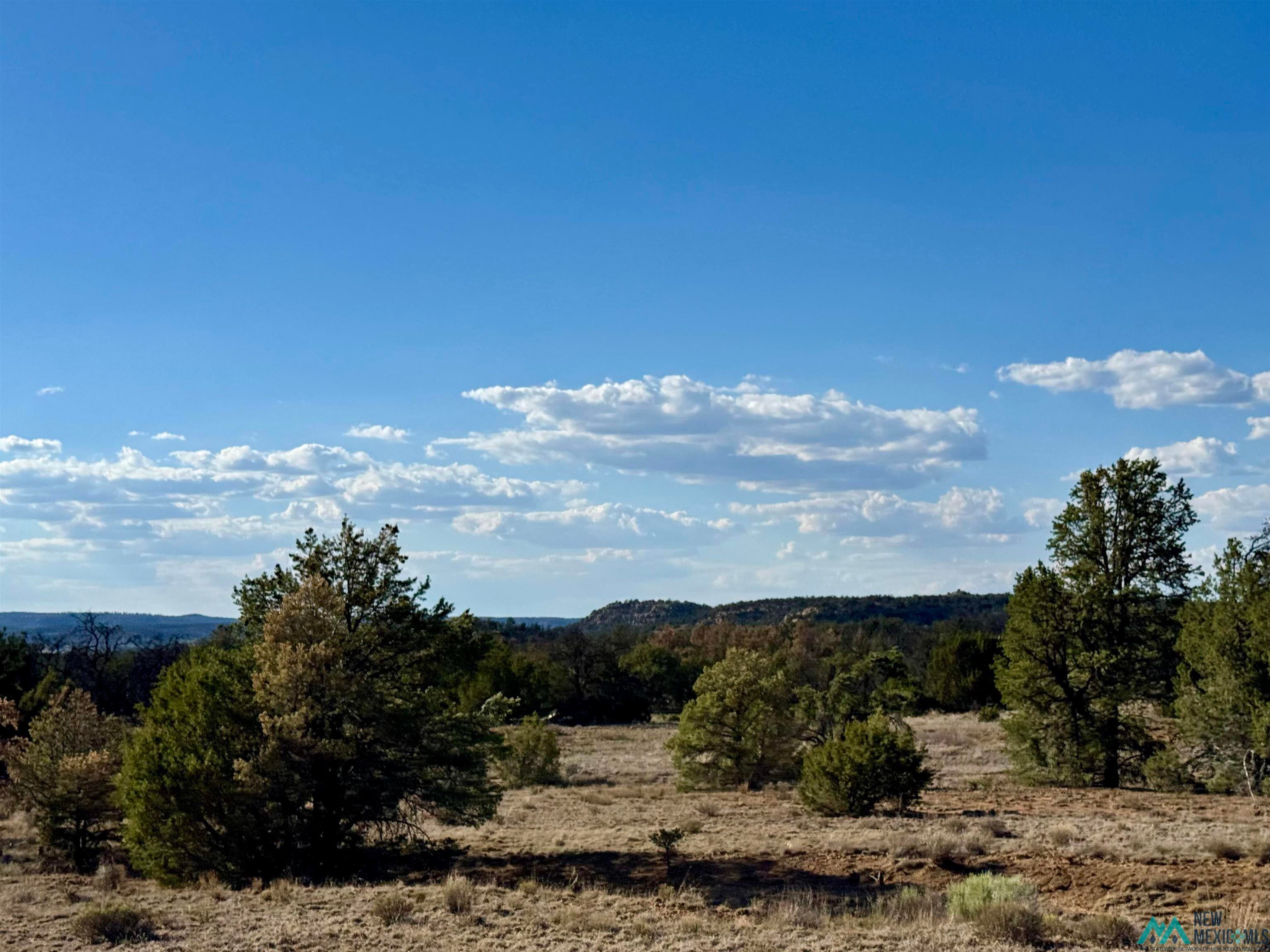 Tbd Wilderness Road Pinehill, NM 87357 - Photo 1 of 2