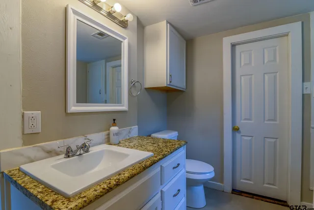 a bathroom with a sink and a toilet