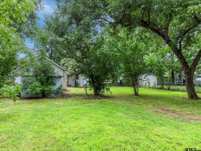 a huge green field with lots of trees