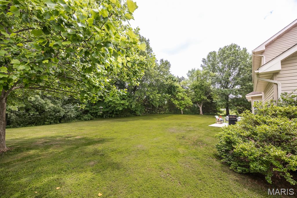 1120 Red Hawk Ridge Lane O'Fallon, IL 62269 - Photo 35 of 41
