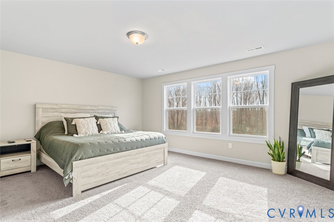 1463 Tutelo Road Quinton, VA 23141 - Photo 18 of 31 a spacious bedroom with a bed and a large window