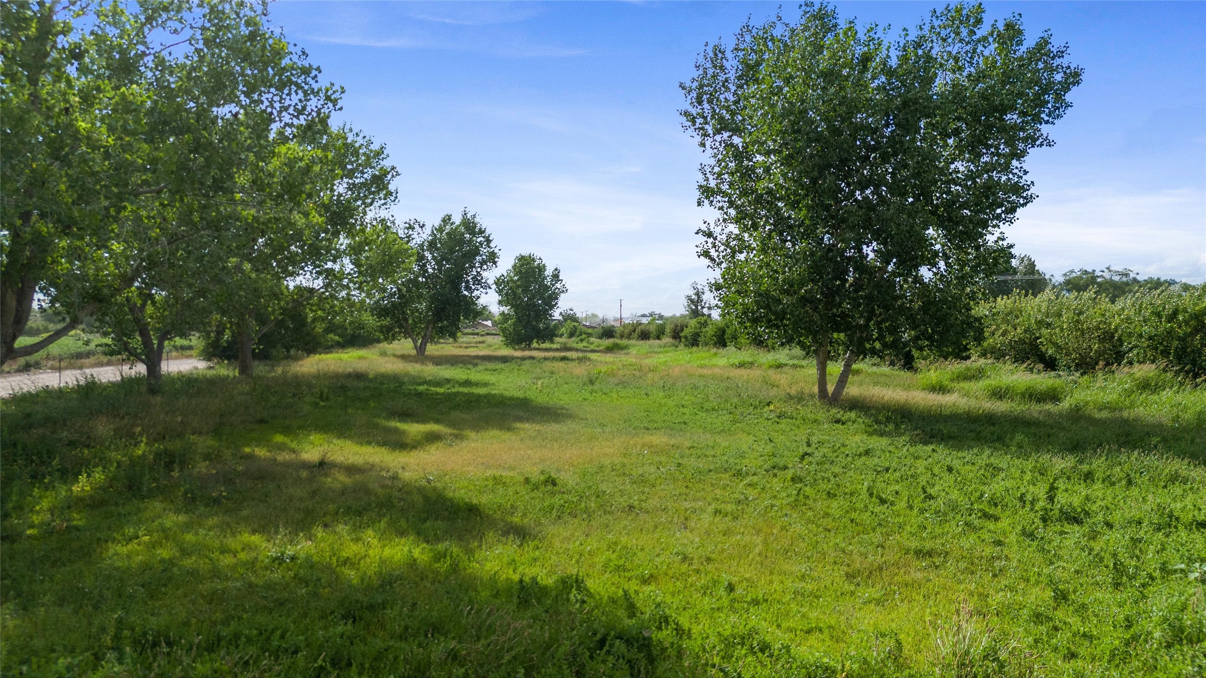 6461 Corrales Road Corrales, NM 87048 - Photo 25 of 29