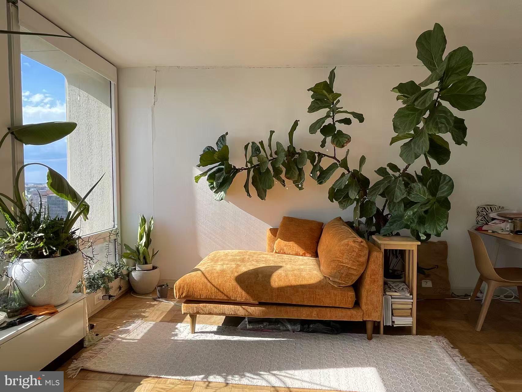 210 Locust Street, Unit 22EW Philadelphia, PA 19106 - Photo 7 of 21 a bedroom with a bed table flowerpot and a potted plant