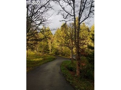 23 Wnuk Road White Salmon, WA 98672 - Photo 25 of 25 a view of a yard with plants and a trees