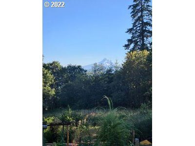 23 Wnuk Road White Salmon, WA 98672 - Photo 6 of 25 a view of a outdoor space