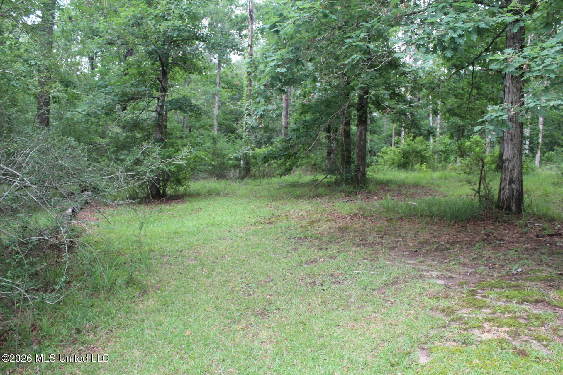 429 River Rd Drive Southeast Bogue Chitto, MS 39629 - Photo 16 of 38 IMG_9733