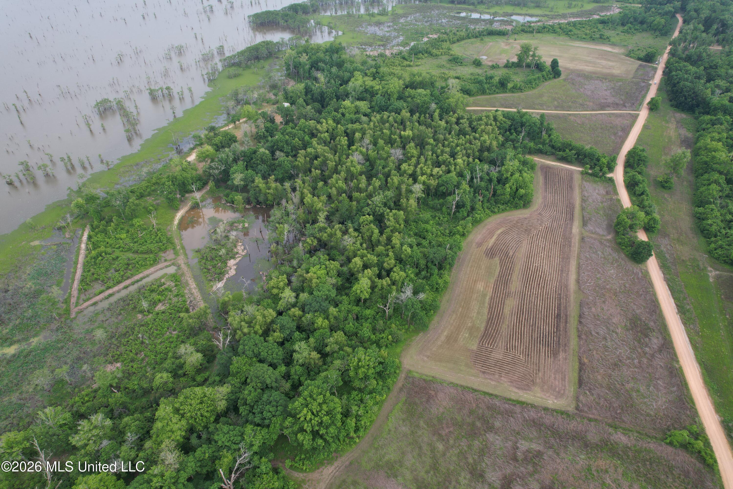 Lake Mary Road Woodville, MS 39669 - Photo 8 of 39 DJI_0963