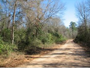 1318 Allen Dupree Road Avera, GA 30803 - Photo 1 of 1 Main View