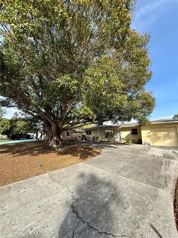 a view of a yard with trees