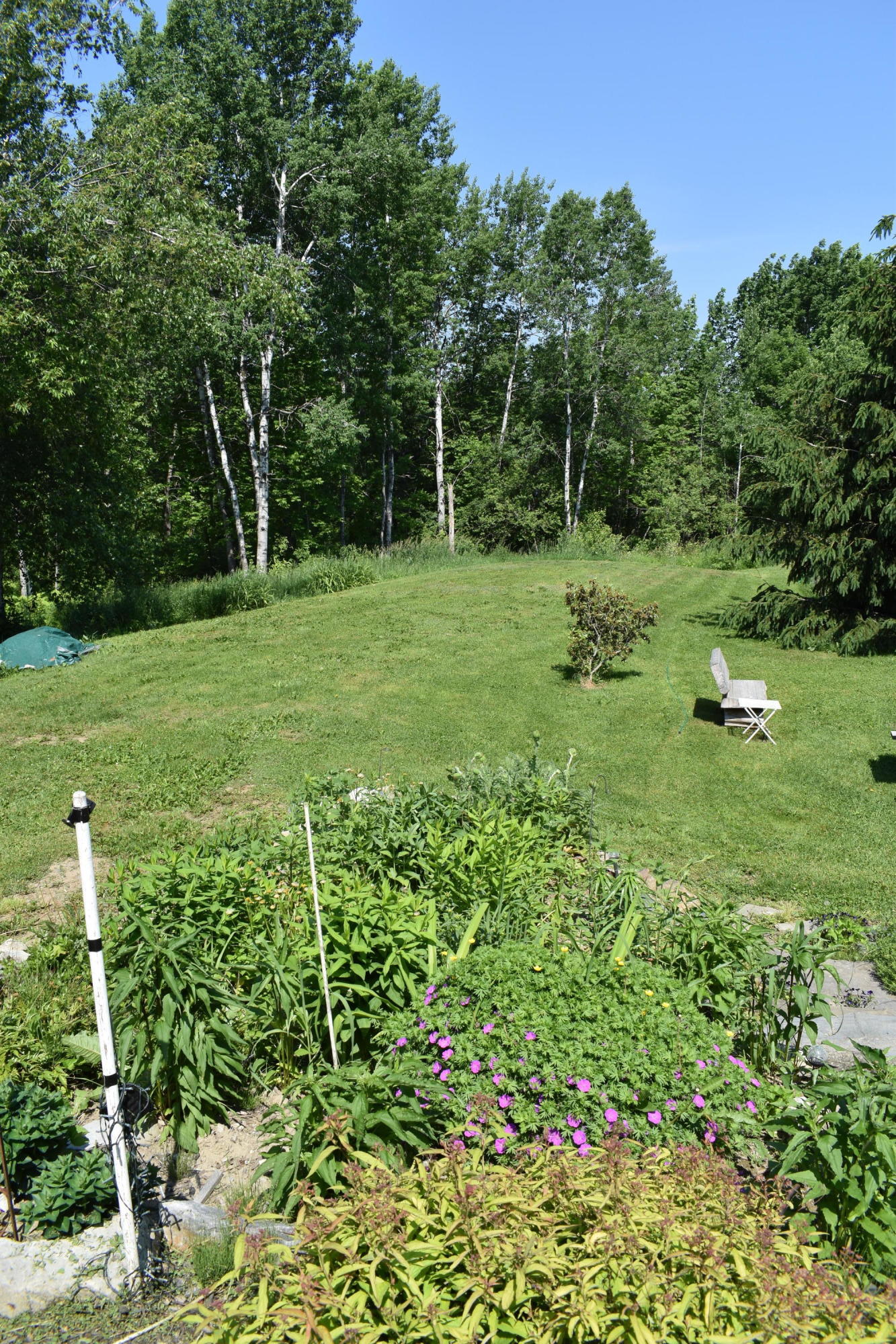 470 Dexter Road St. Albans, ME 04971 - Photo 47 of 47 Leachfield