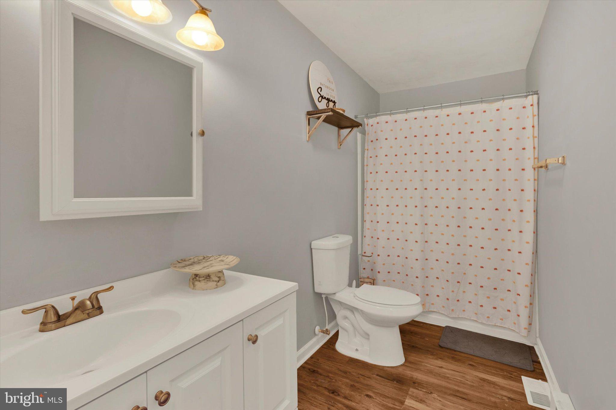 247 Locust Lane Elkton, MD 21921 - Photo 13 of 27 Charming bathroom with modern touches.
