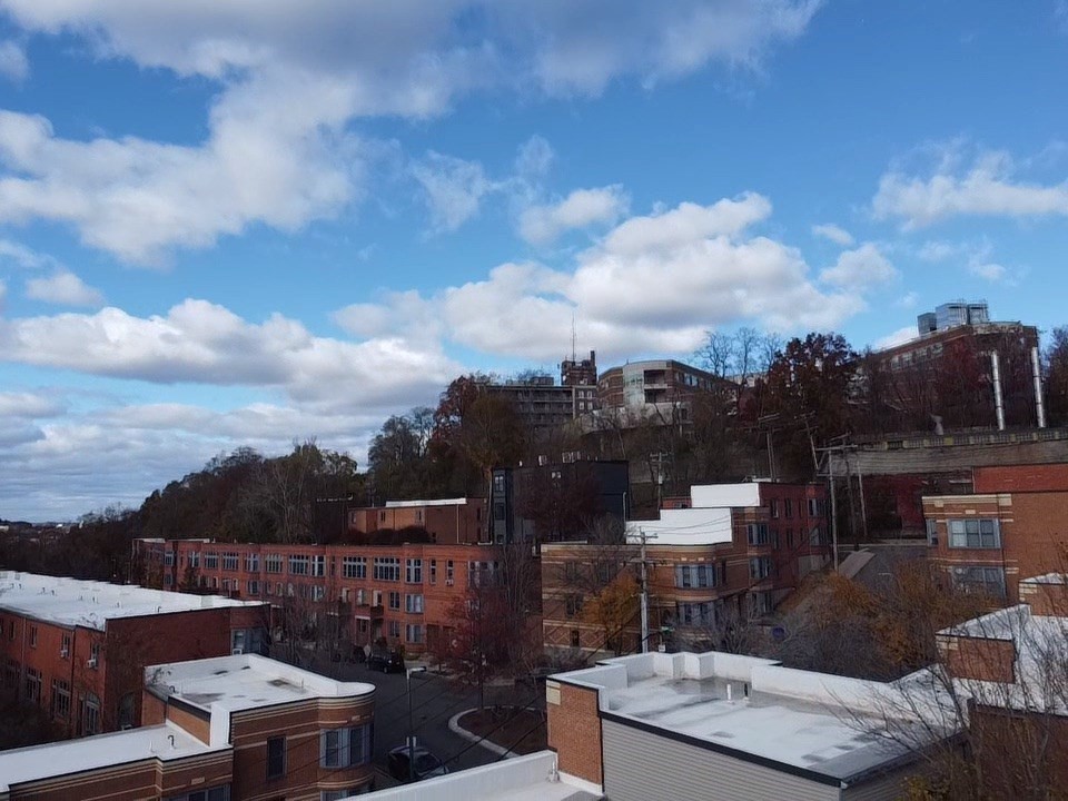 100 Lawn Street, Unit 100 Boston, MA 02120 - Photo 33 of 40 a terrace with a table and chairs