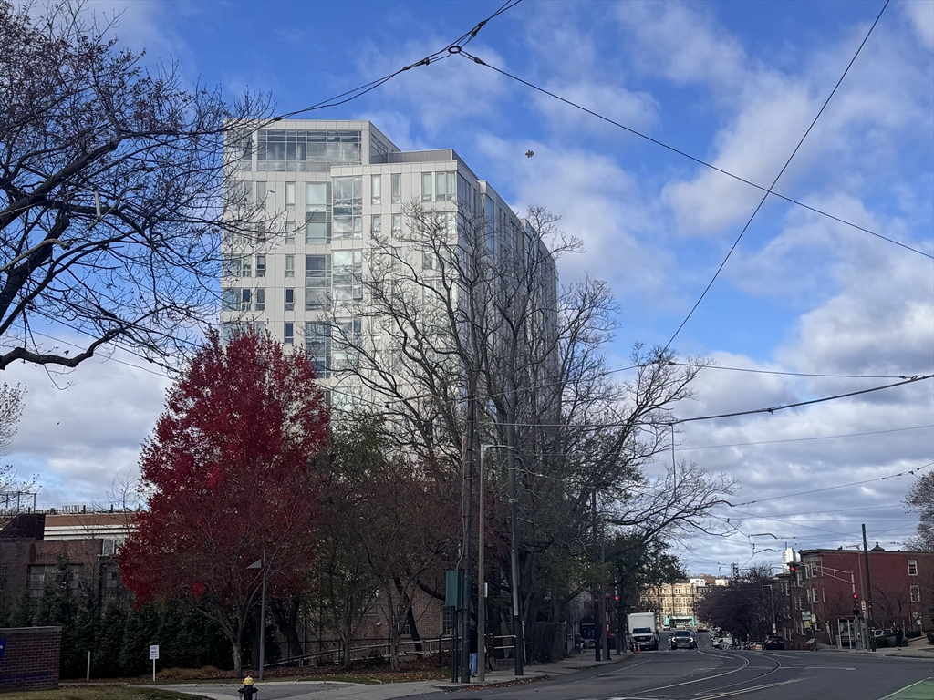 100 Lawn Street, Unit 100 Boston, MA 02120 - Photo 38 of 40 a building view