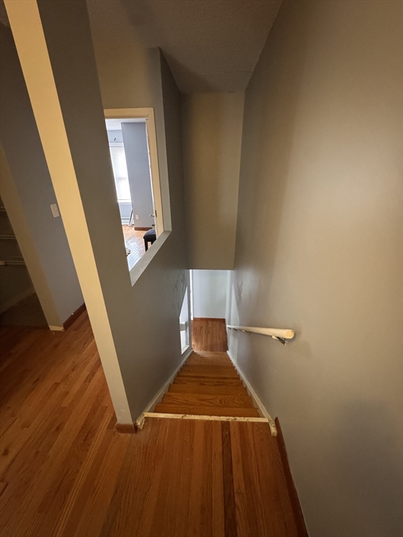 100 Lawn Street, Unit 100 Boston, MA 02120 - Photo 9 of 40 a bathroom with a sink and mirror