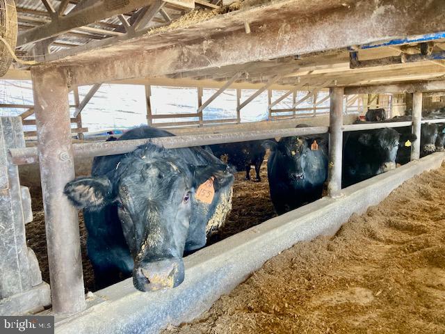 626 Millway Road Lititz, PA 17543 - Photo 12 of 19