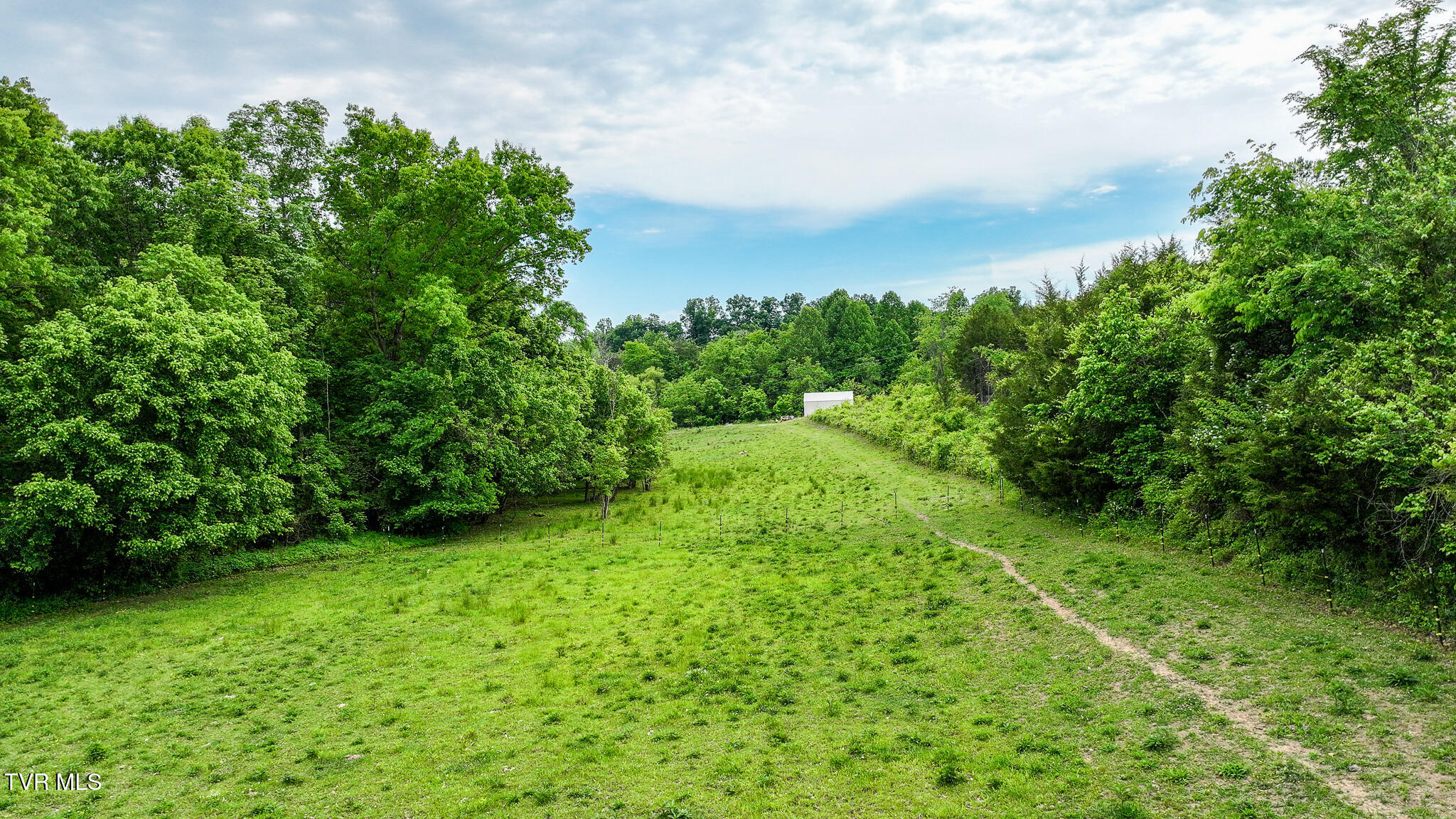 Lot 0 Hilldale Road Midway, TN 37809 - Photo 5 of 17 Land