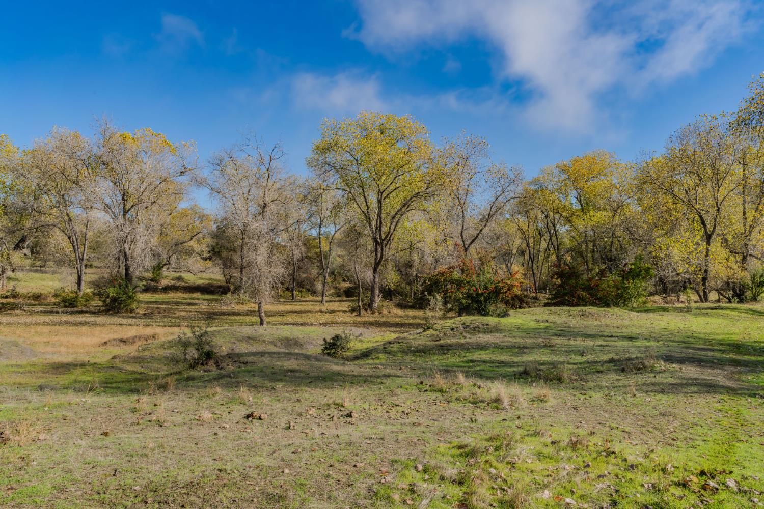 11151 Ridge Road Sutter Creek, CA 95685 - Photo 13 of 61 a view of dirt field with trees
