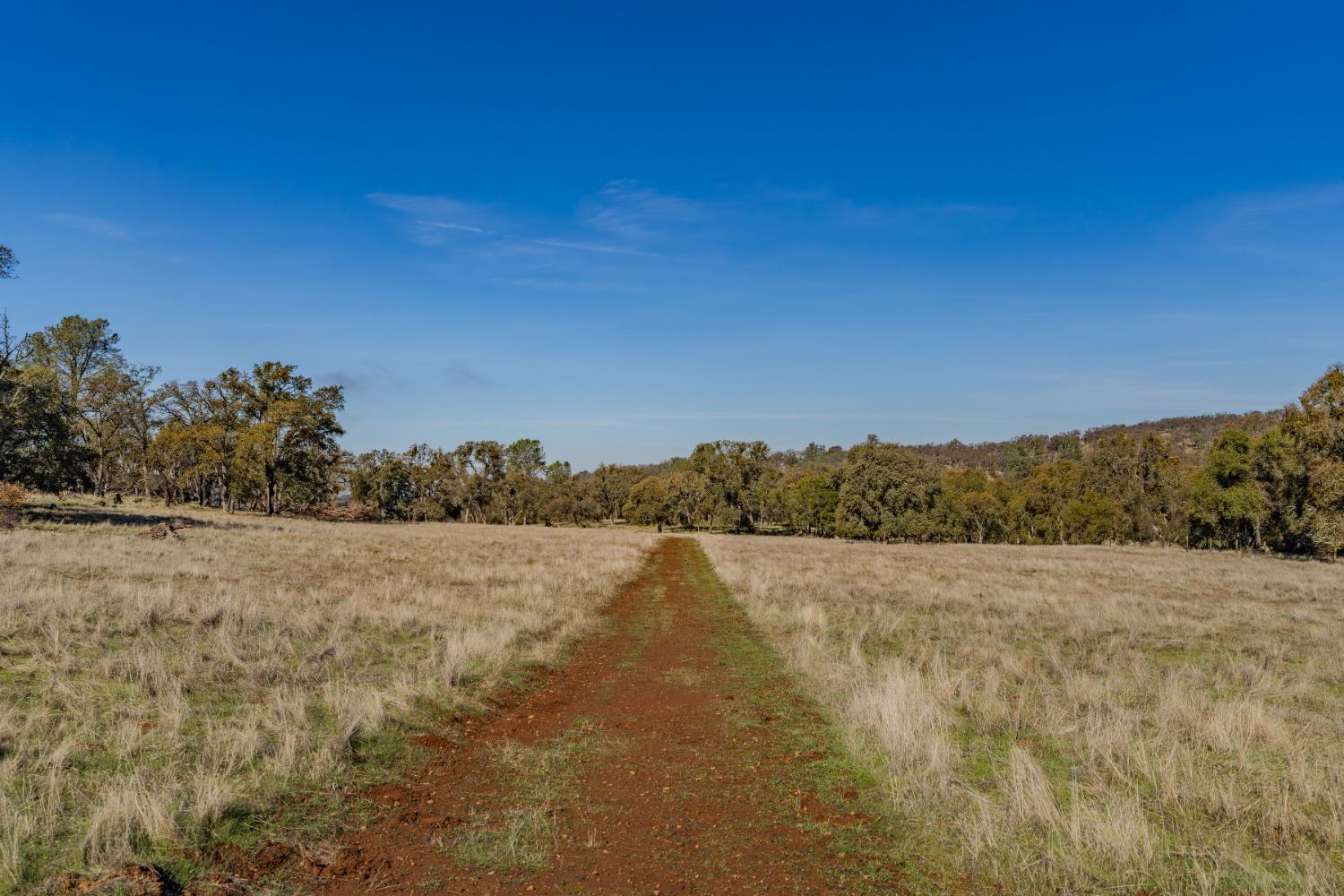 11151 Ridge Road Sutter Creek, CA 95685 - Photo 14 of 61