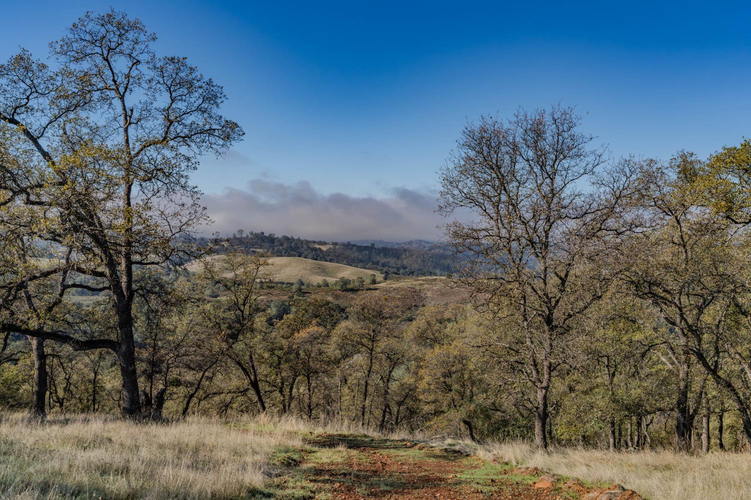 11151 Ridge Road Sutter Creek, CA 95685 - Photo 17 of 61