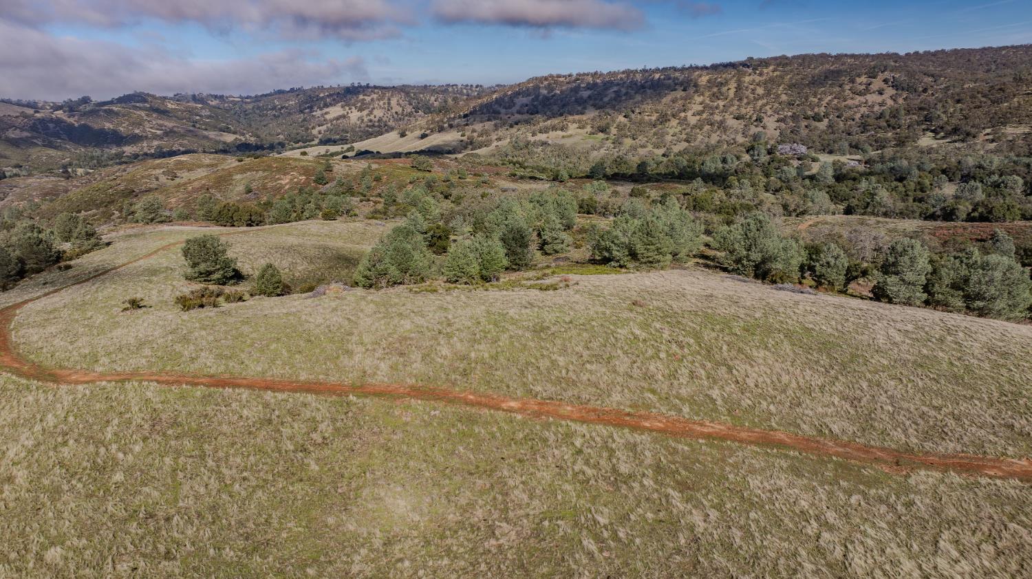 11151 Ridge Road Sutter Creek, CA 95685 - Photo 2 of 61 a view of a dry yard