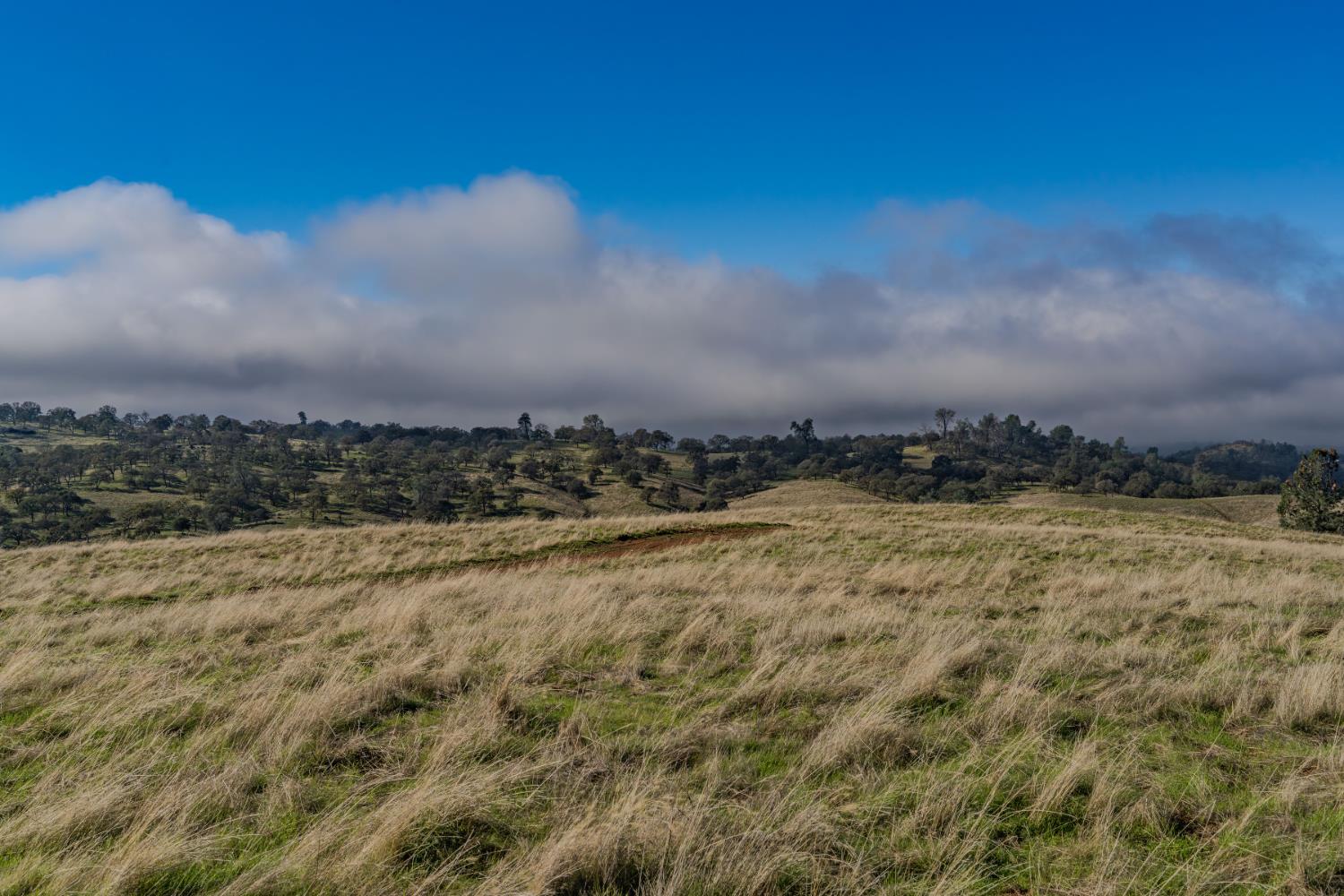 11151 Ridge Road Sutter Creek, CA 95685 - Photo 21 of 61 a view of an ocean
