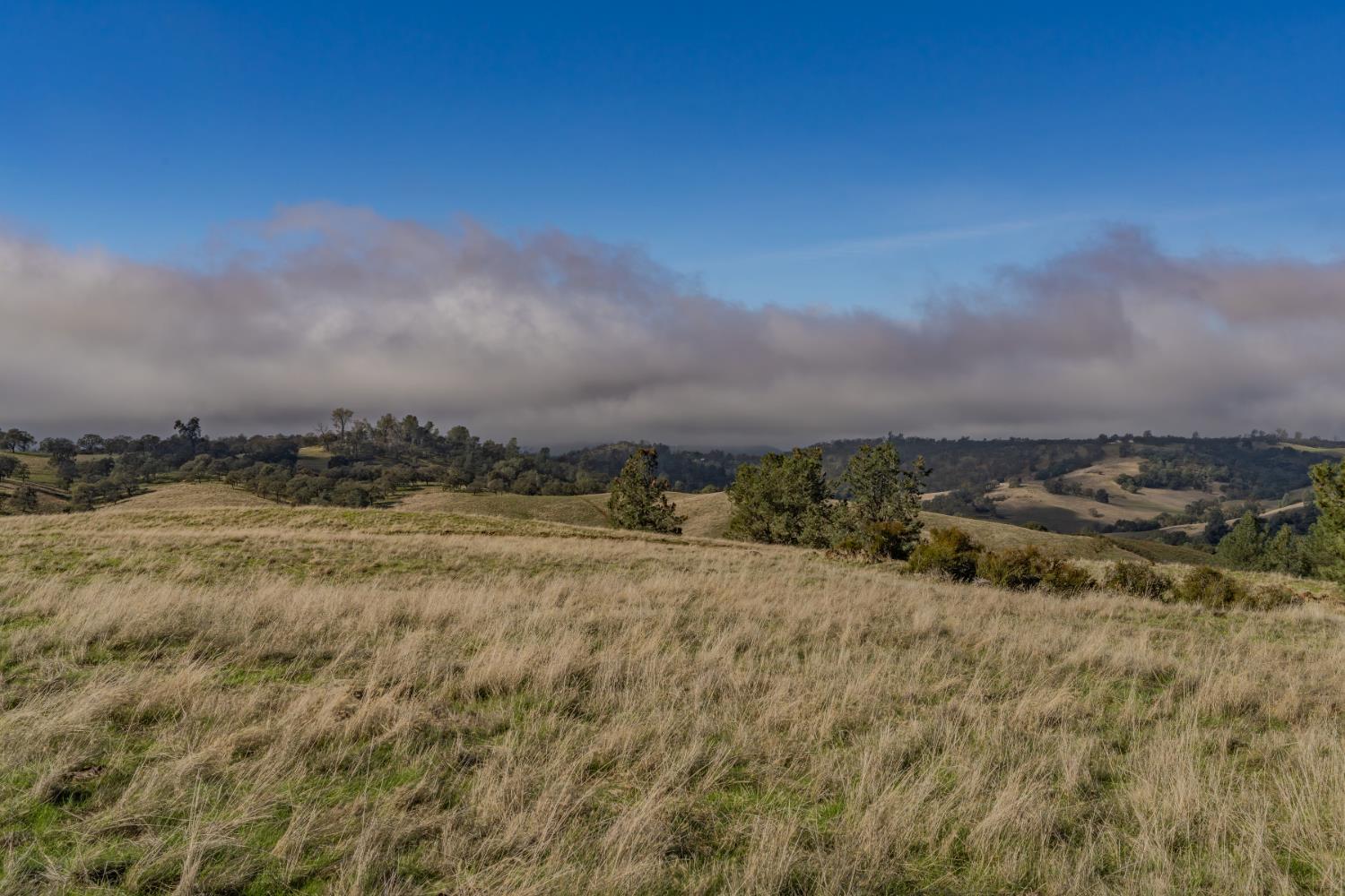 11151 Ridge Road Sutter Creek, CA 95685 - Photo 22 of 61 a view of a large body of water with a building in the background