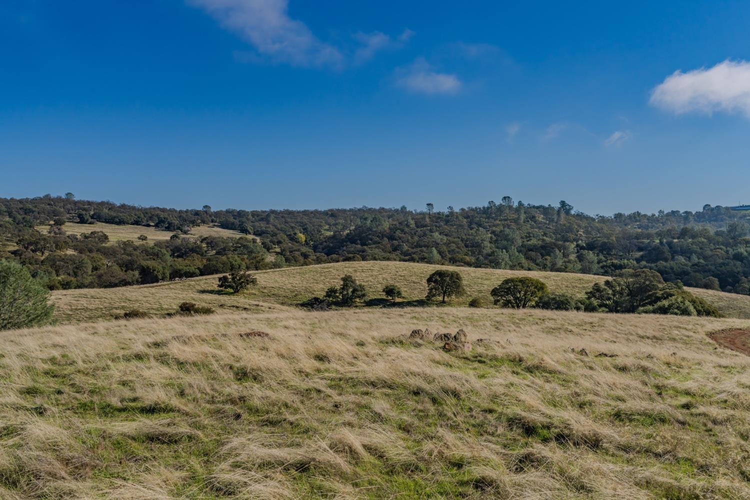 11151 Ridge Road Sutter Creek, CA 95685 - Photo 23 of 61 a view of swimming pool with a yard
