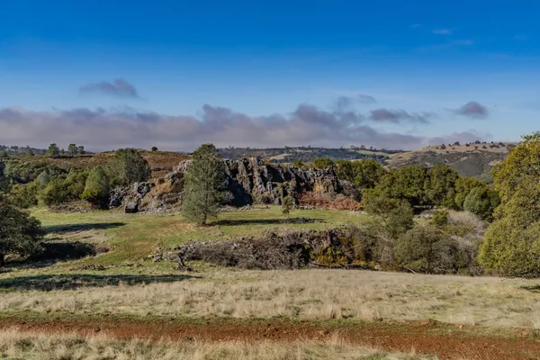 a view of dirt field with trees around