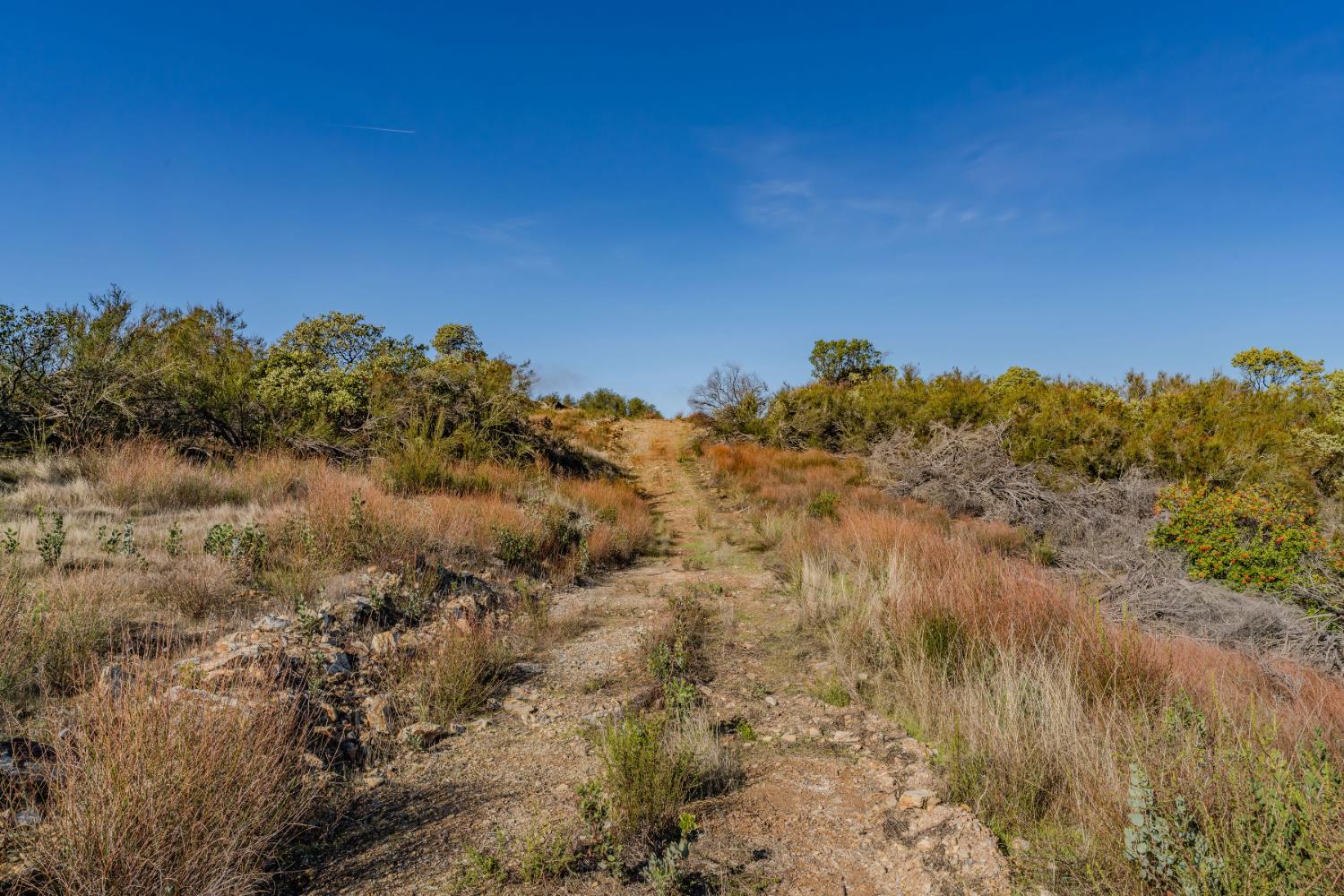 11151 Ridge Road Sutter Creek, CA 95685 - Photo 26 of 61